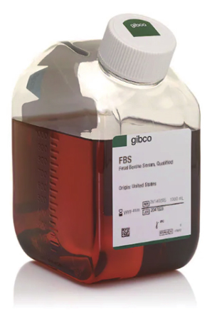 Fetal Bovine Serum