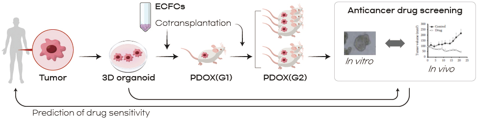 Prediction of drug sensitivity